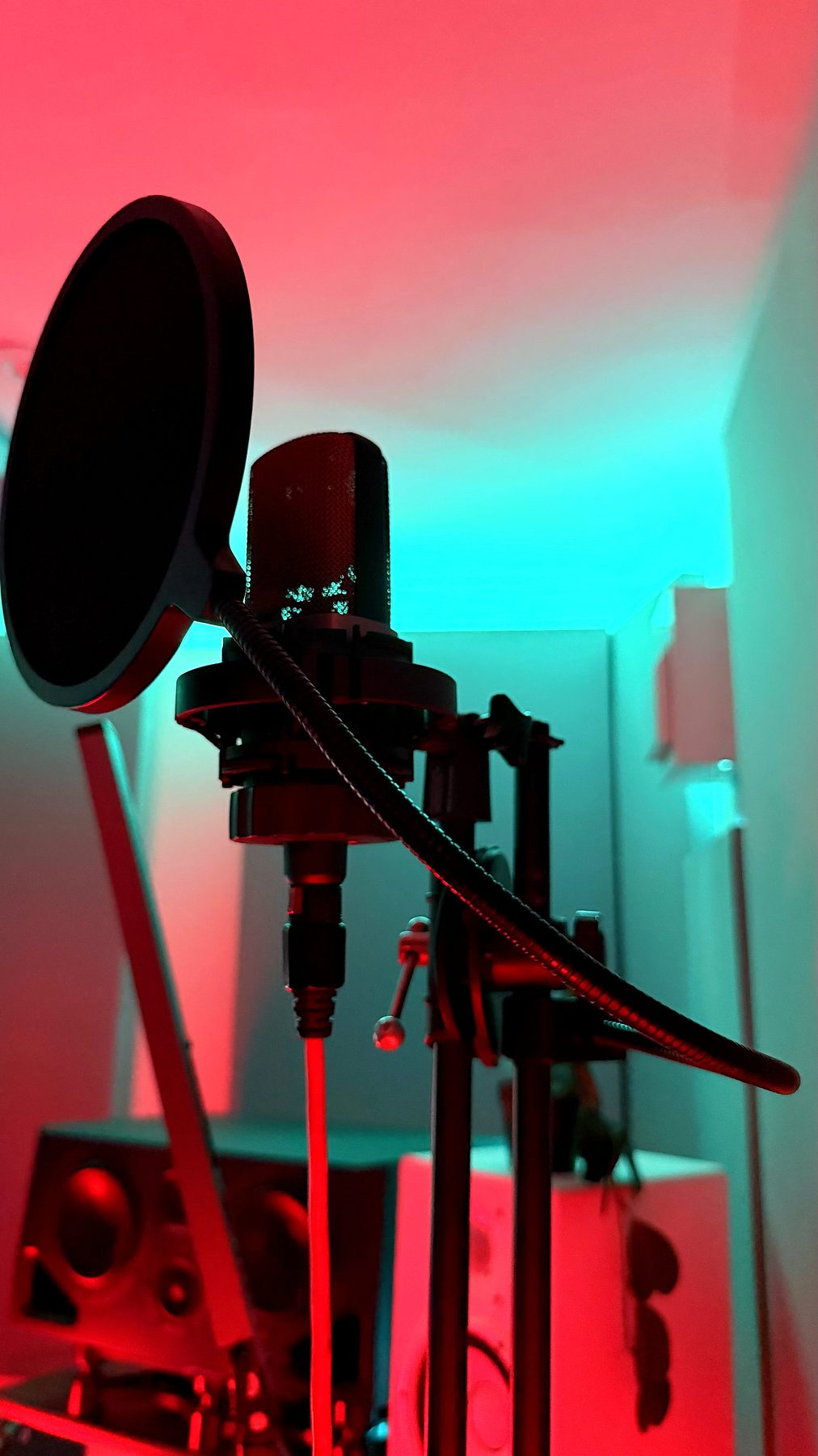Studio microphone and pop shield